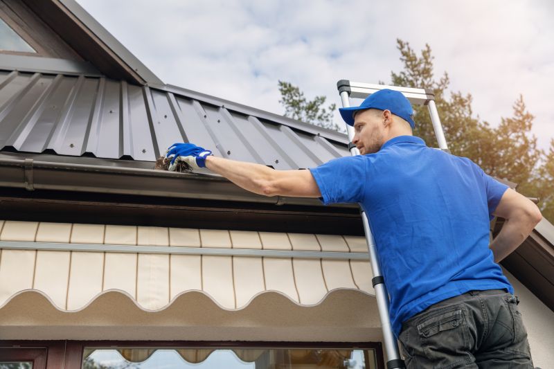 Gutter Cleaning and Inspection
